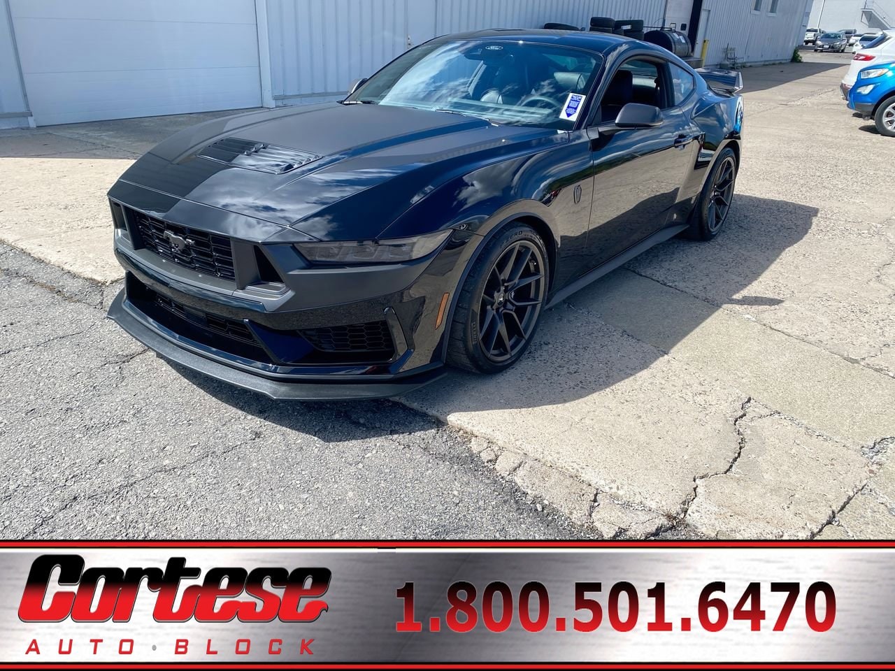 2024 Ford Mustang Dark Horse's photo