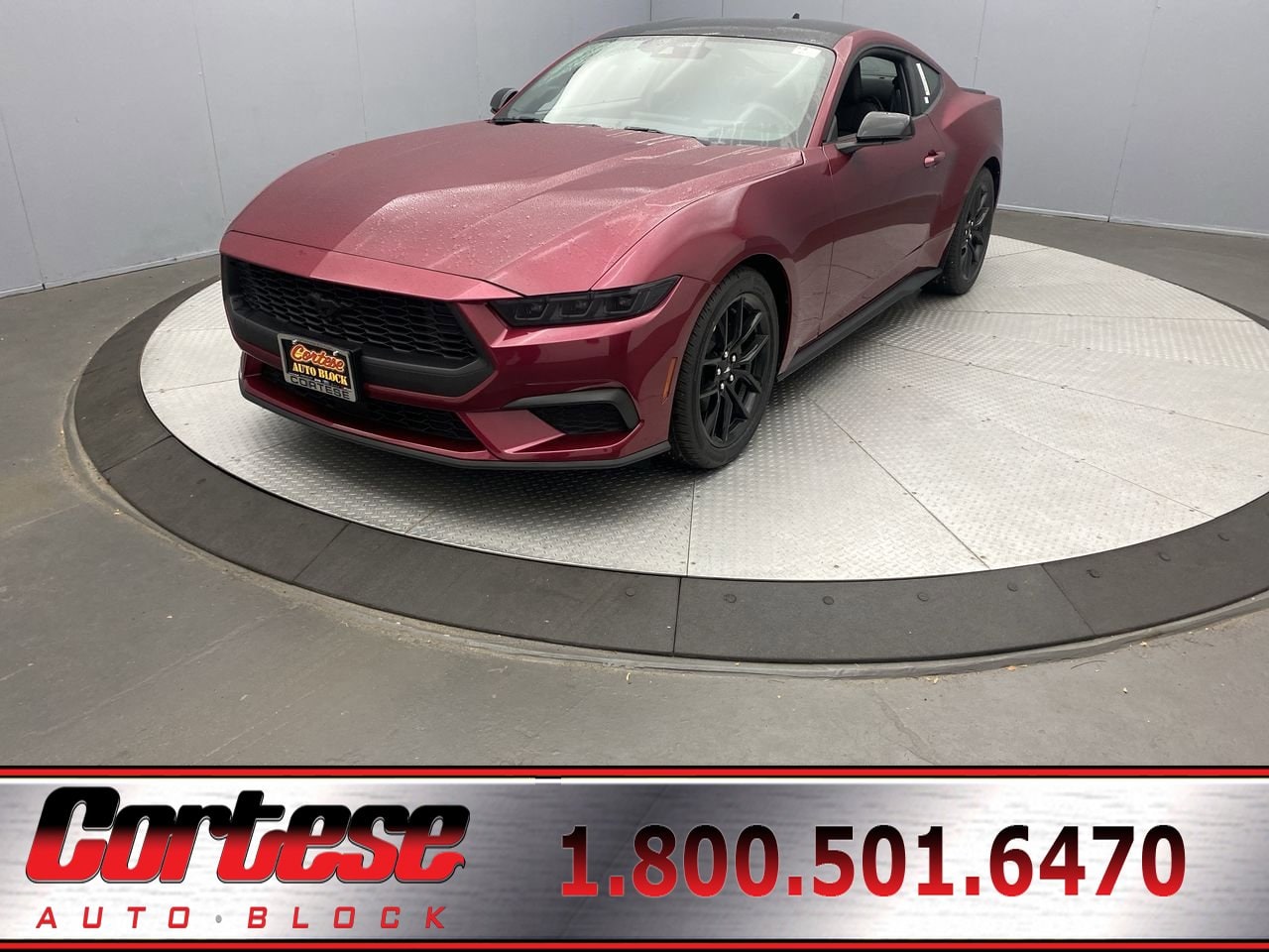 2025 Ford Mustang CAR 