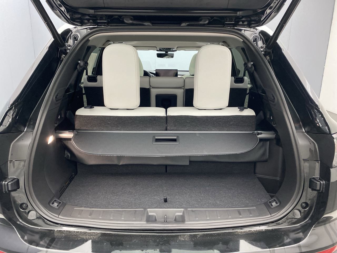 2025 Mitsubishi Outlander SEL Platinum Edition - Photo 25