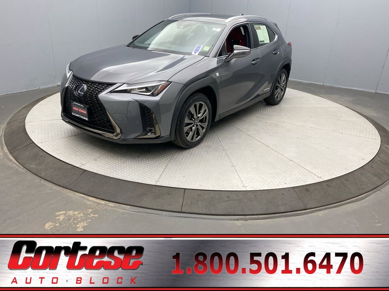 2021 Lexus UX Hybrid