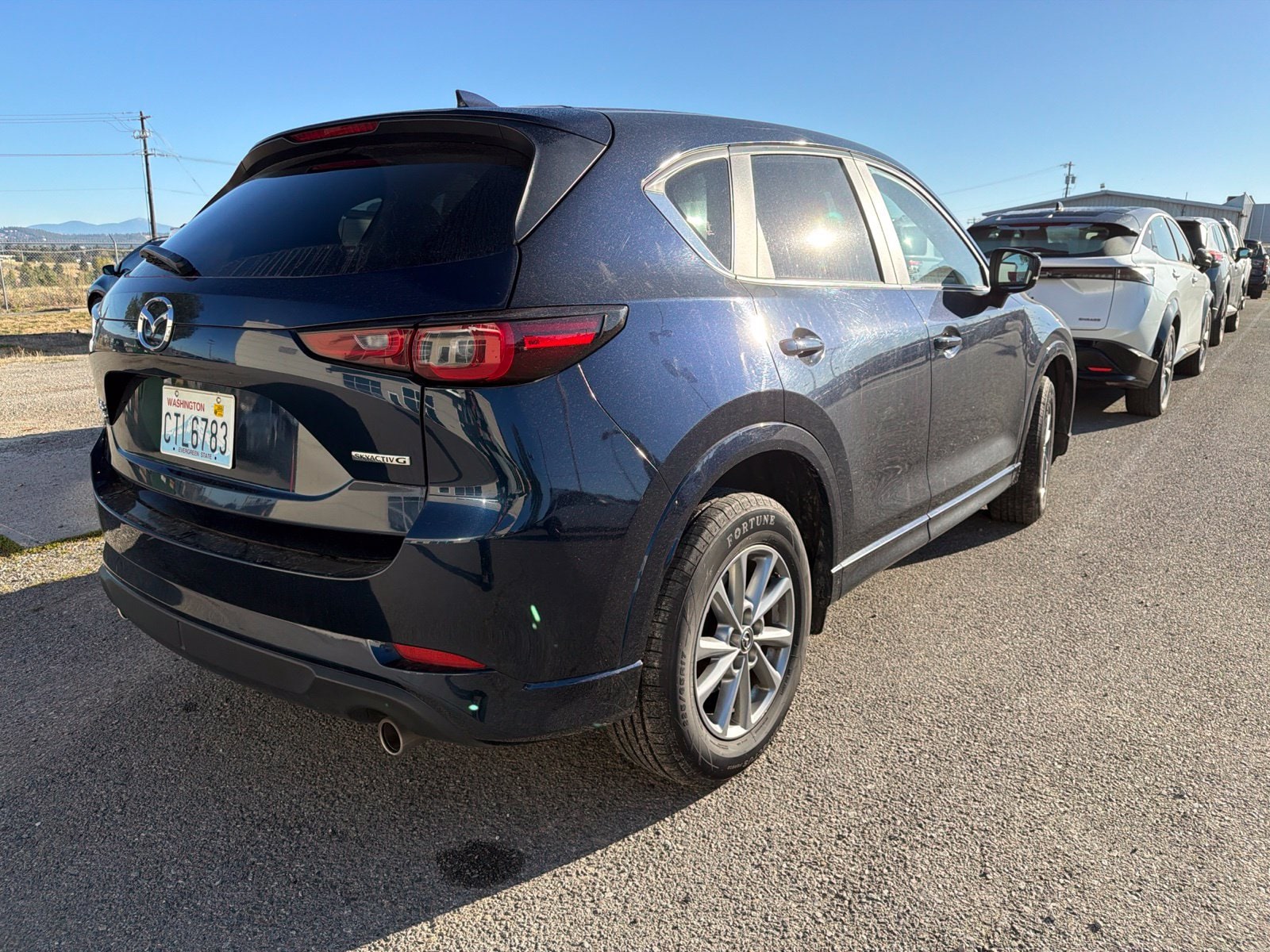 Photo 5