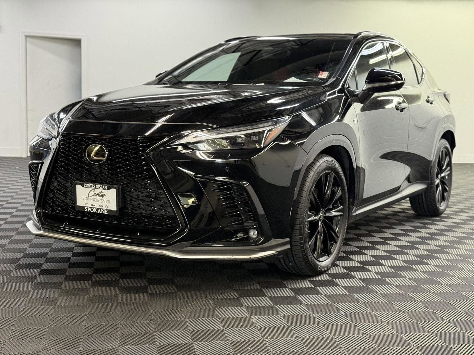 2022 Lexus NX PHEV 450h+'s photo