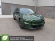 Ford Mustang Mach-E