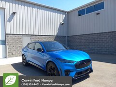 2025 Ford Mustang Mach-E GT SUV