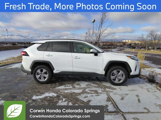 Used 2025 Toyota RAV4 XLE with VIN 4T3RWRFV9SU177352 for sale in Northfield, Minnesota