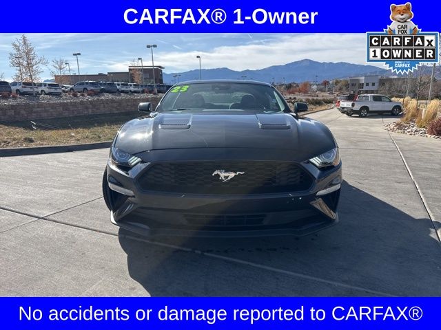 2023 Ford Mustang EcoBoost photo 2