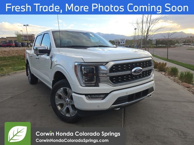 2023 Ford F-150 Platinum 4x4 SuperCrew 145 in's photo