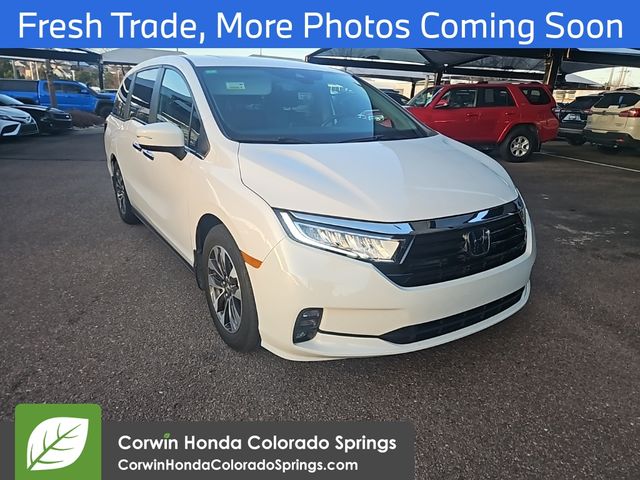 2023 Honda Odyssey EX-L's photo