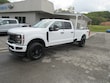 Ford Super Duty F-250 SRW