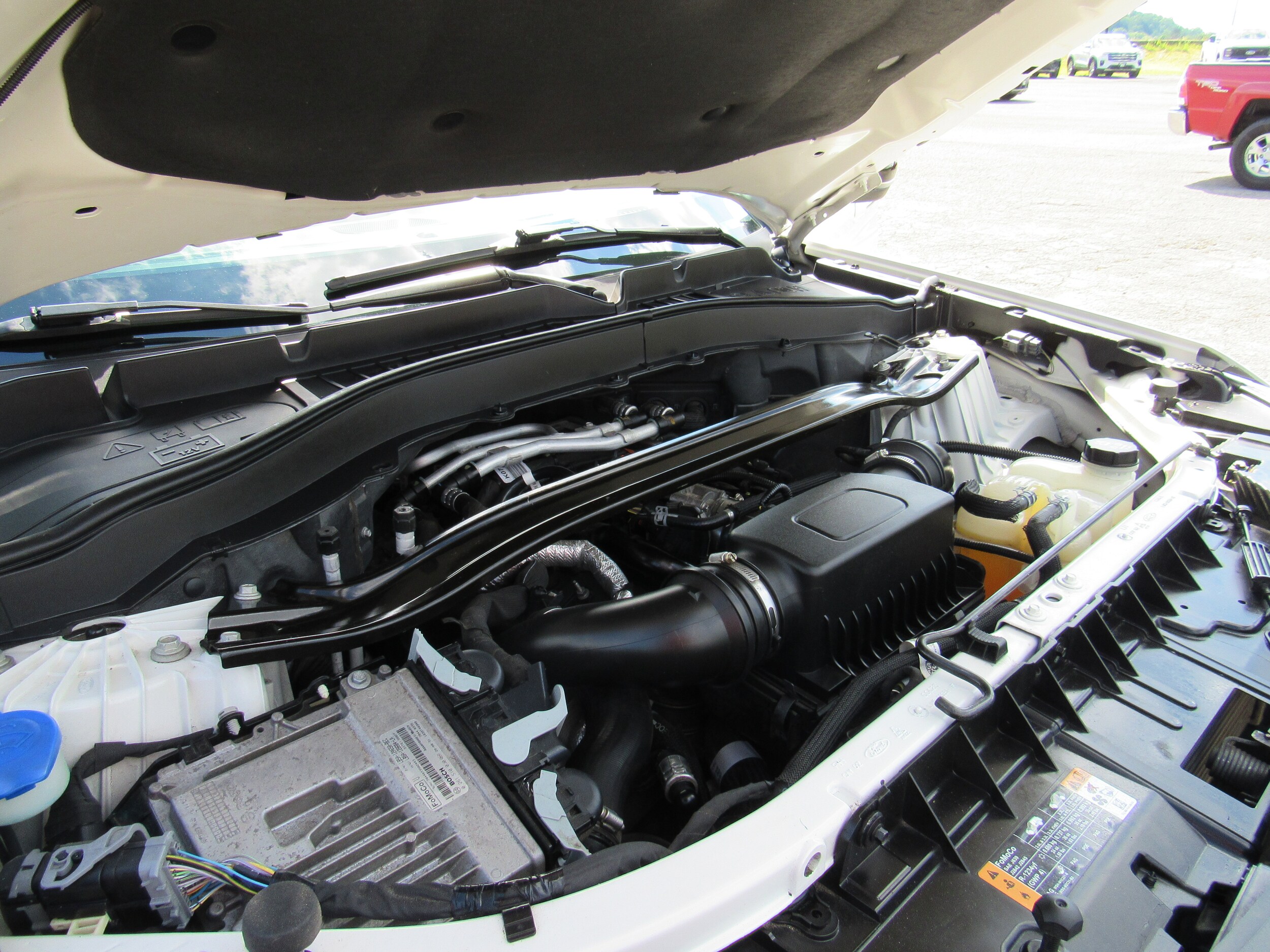 Photo 41