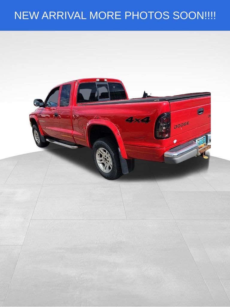2003 Dodge Dakota SLT photo 2