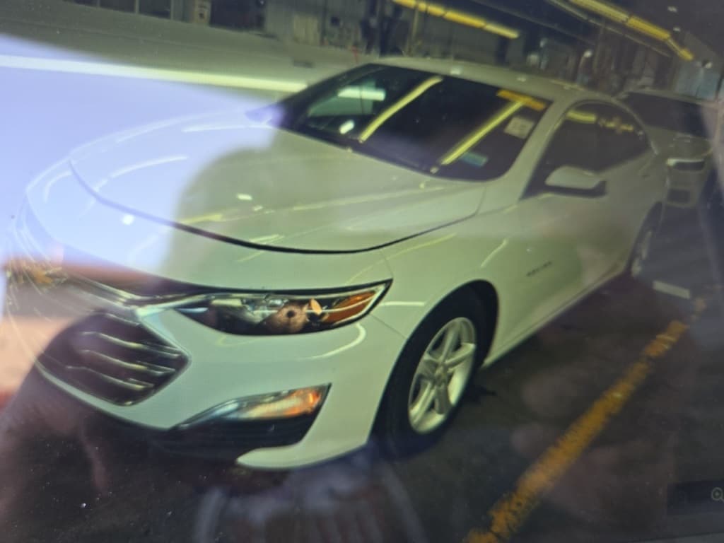 Used 2019 Chevrolet Malibu 1FL with VIN 1G1ZC5ST1KF204222 for sale in Moorhead, Minnesota