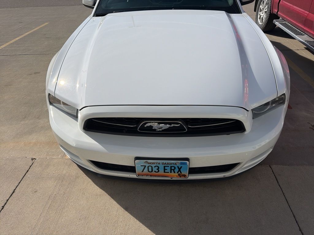 Used 2014 Ford Mustang V6 Premium with VIN 1ZVBP8AM1E5321380 for sale in Moorhead, Minnesota