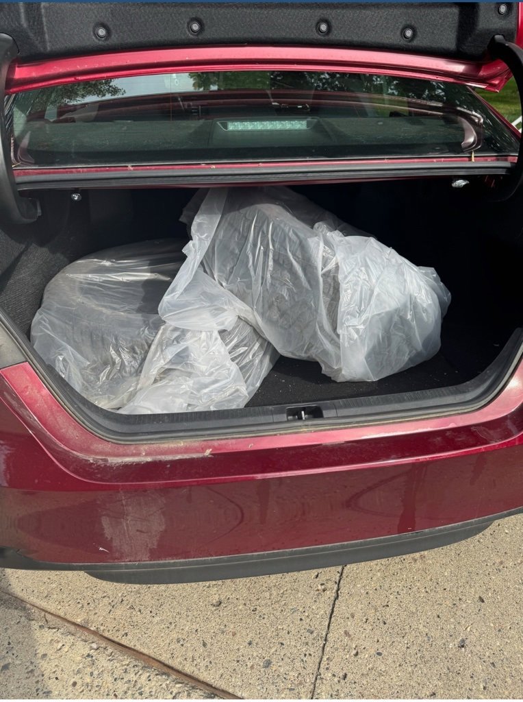2019 Toyota Camry LE photo 2