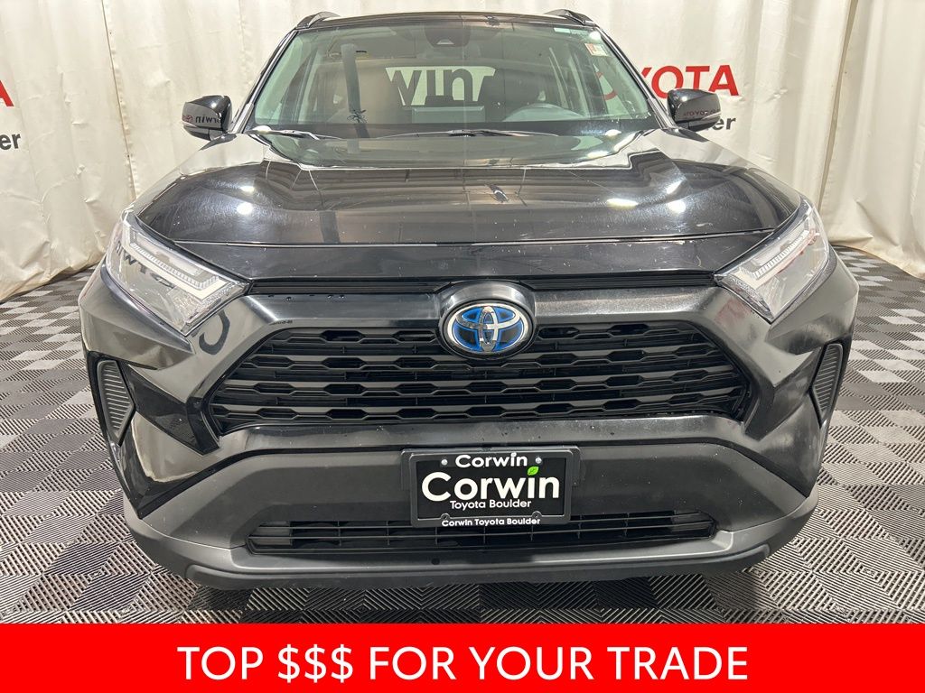 Used 2024 Toyota RAV4 XLE with VIN 2T3RWRFV7RW199232 for sale in Northfield, Minnesota