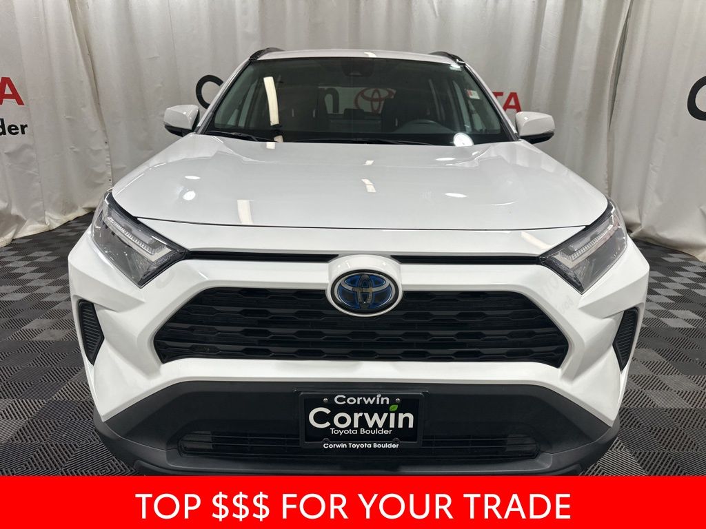 2024 Toyota RAV4 Hybrid LE photo 2