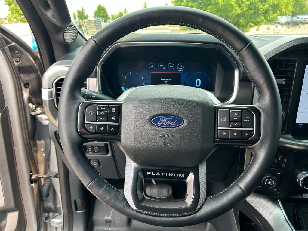 2024 Ford F-150 Platinum - Photo 10