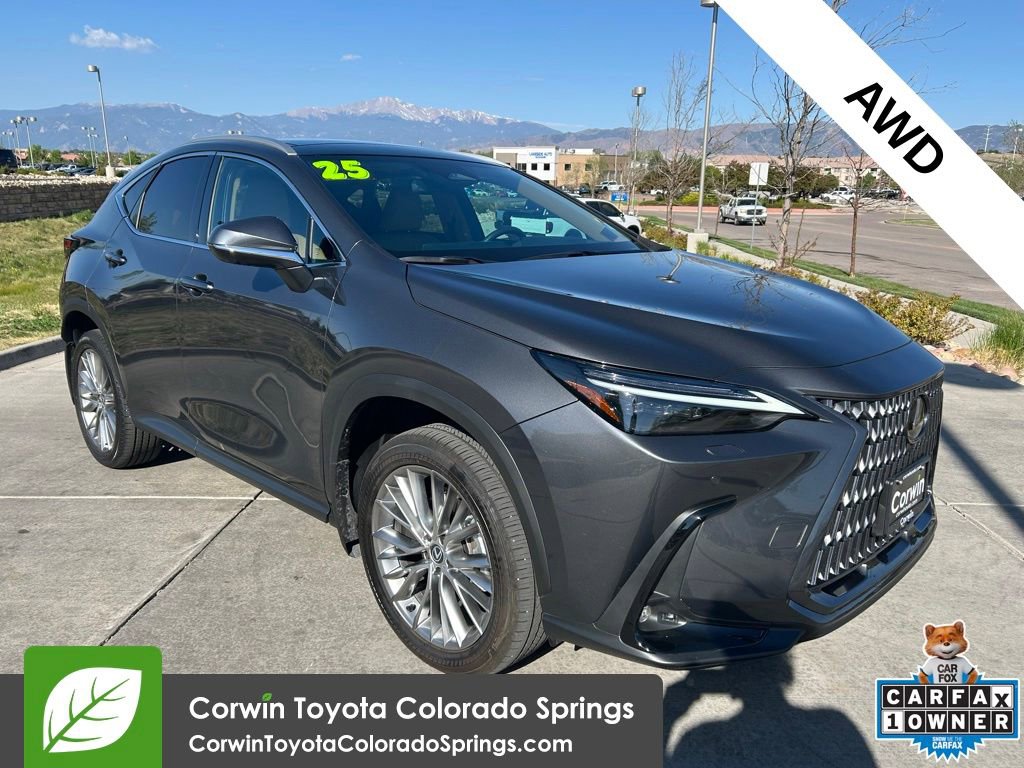 2025 Lexus NX 350 350 Luxury AWD's photo