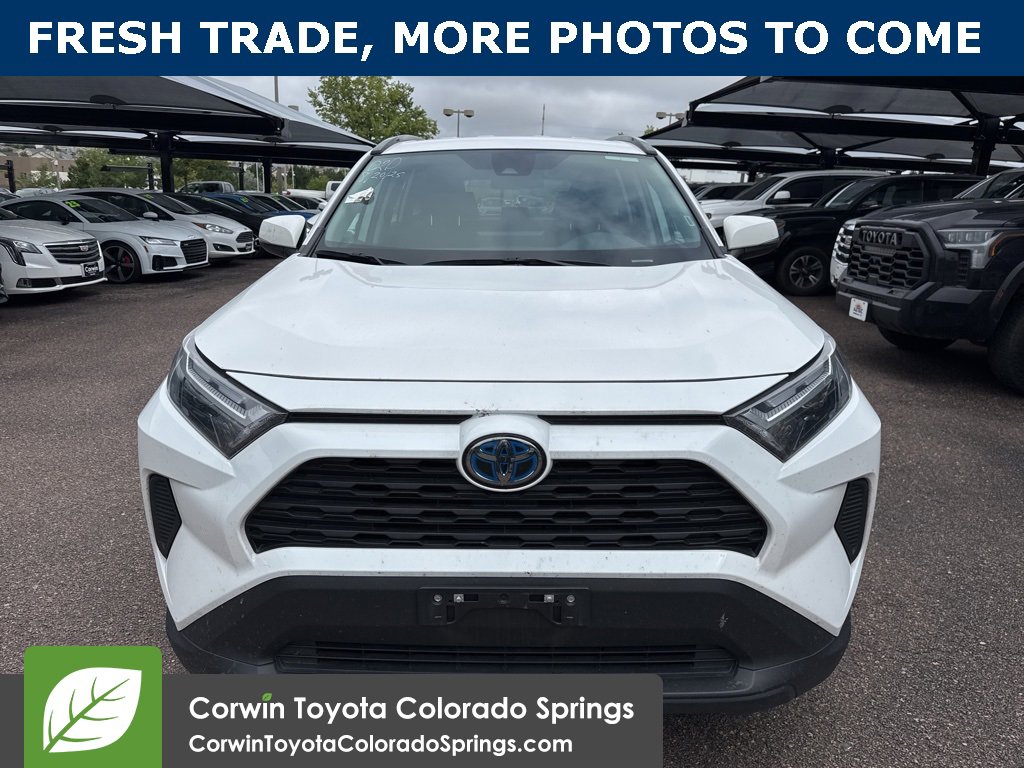 Used 2024 Toyota RAV4 XLE with VIN 2T3RWRFV0RW222107 for sale in Northfield, Minnesota