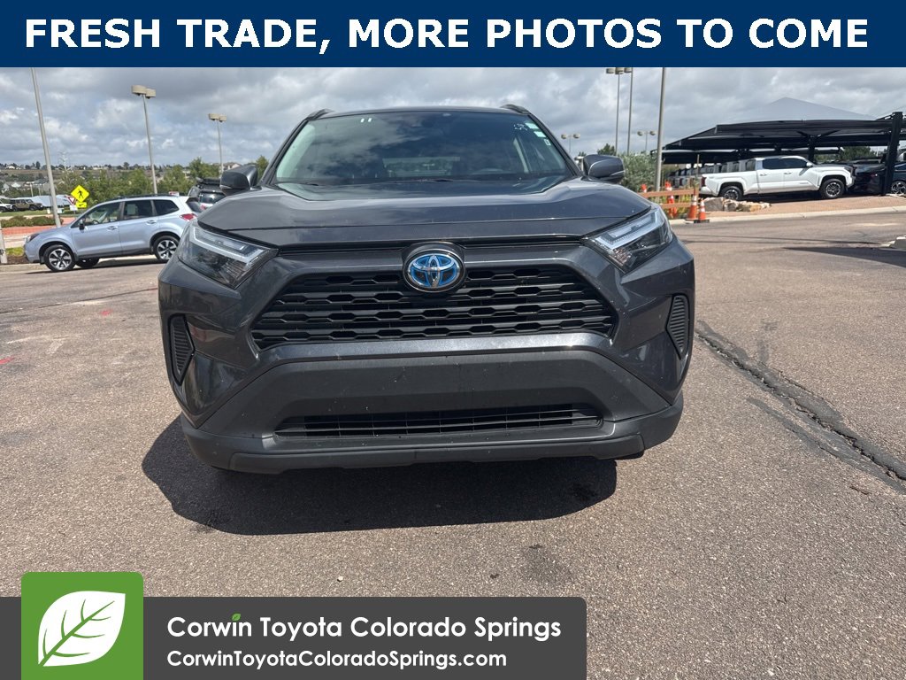 Used 2024 Toyota RAV4 XLE with VIN 2T3RWRFV8RW197716 for sale in Northfield, Minnesota