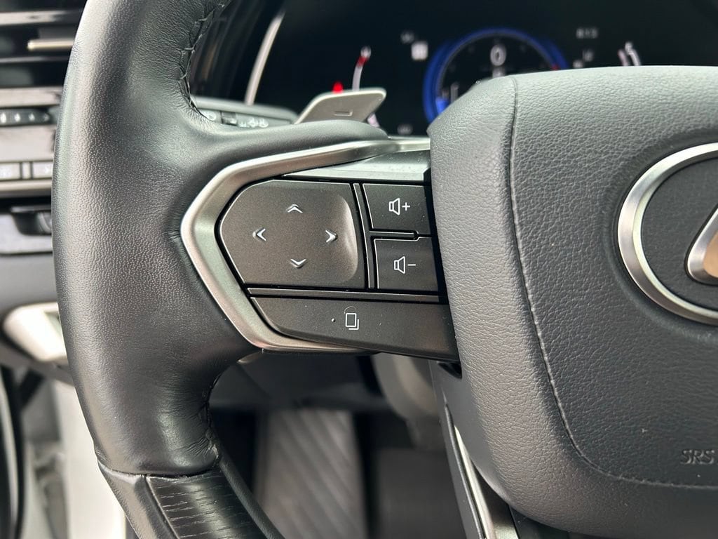 2024 Lexus RX 350 - Photo 21