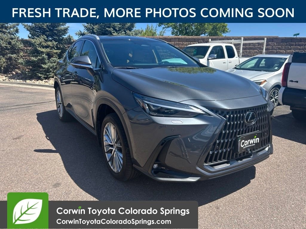 2025 Lexus NX 350 350 Luxury AWD's photo