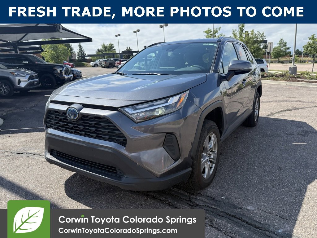 Used 2024 Toyota RAV4 XLE with VIN 4T3RWRFV2RU122462 for sale in Northfield, Minnesota