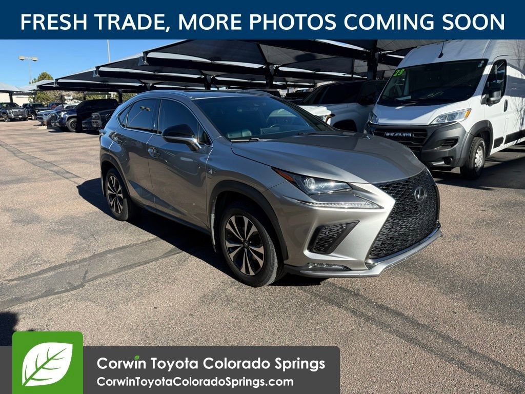 2019 Lexus NX 300 F SPORT's photo