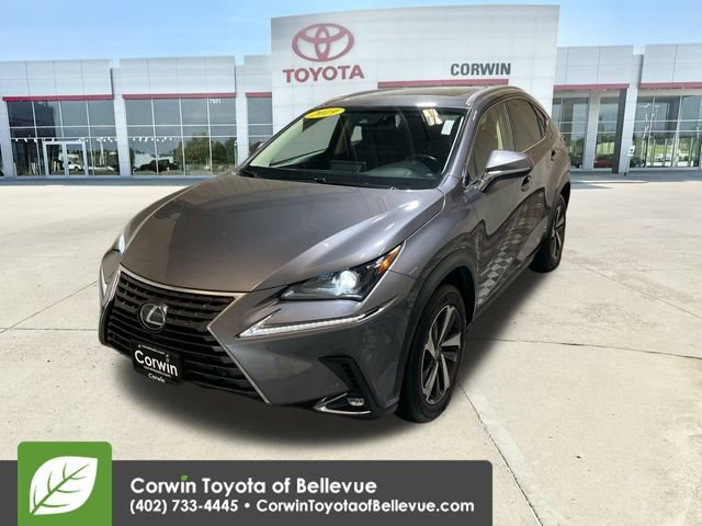 2019 Lexus NX 300 Luxury photo 4