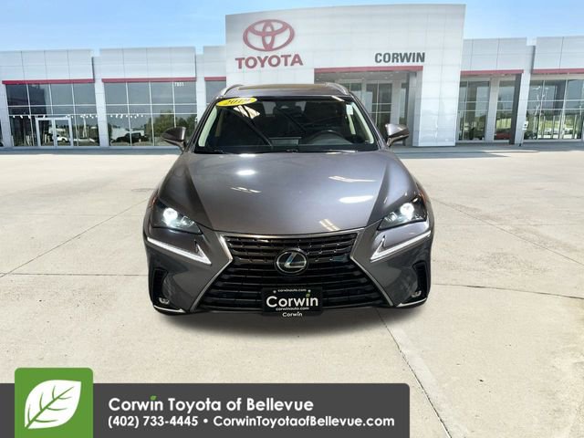 2019 Lexus NX 300 Luxury photo 3