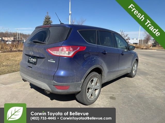 2014 Ford Escape SE photo 2