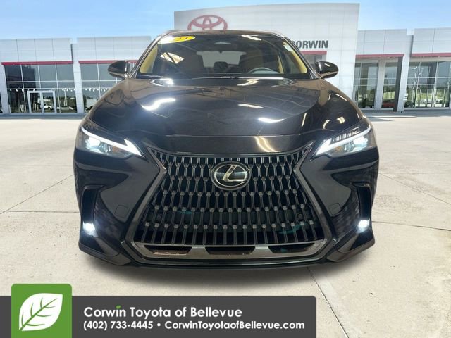2024 Lexus NX 350 Premium photo 3