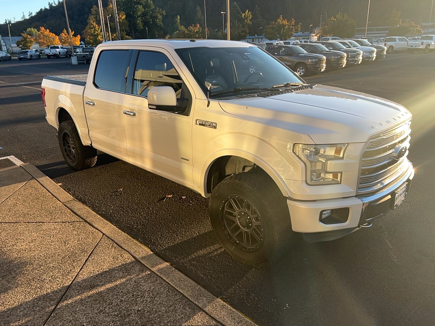 2016 Ford F-150 Limited photo 4