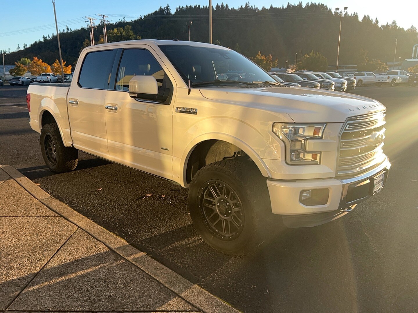 2016 Ford F-150 Limited photo 3