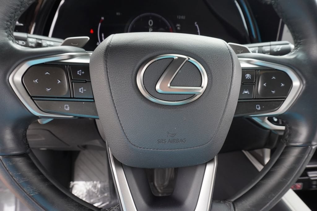 2024 Lexus RX 350 - Photo 18