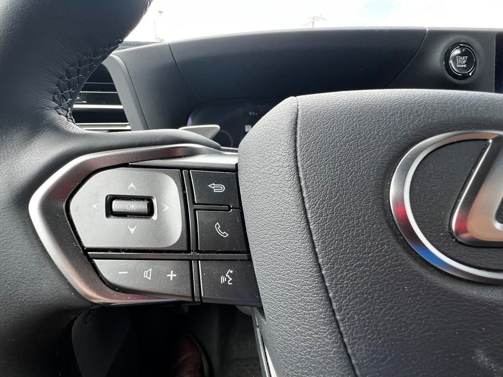 2025 Lexus GX Luxury - Photo 21