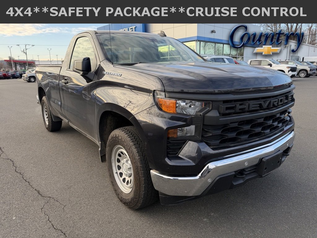 2024 Chevrolet Silverado 1500 Work Truck's photo