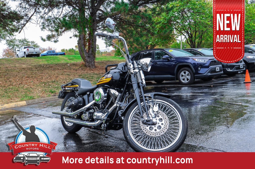 Used 1996 Harley Davidson FxSTSb Bad Boy FXSTSB