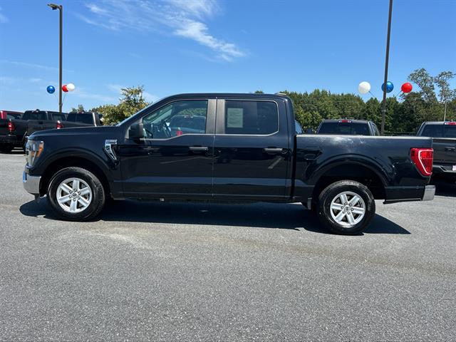 2023 Ford F-150 XLT photo 4
