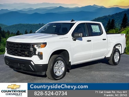 2025 Chevrolet Silverado 1500 WT Truck