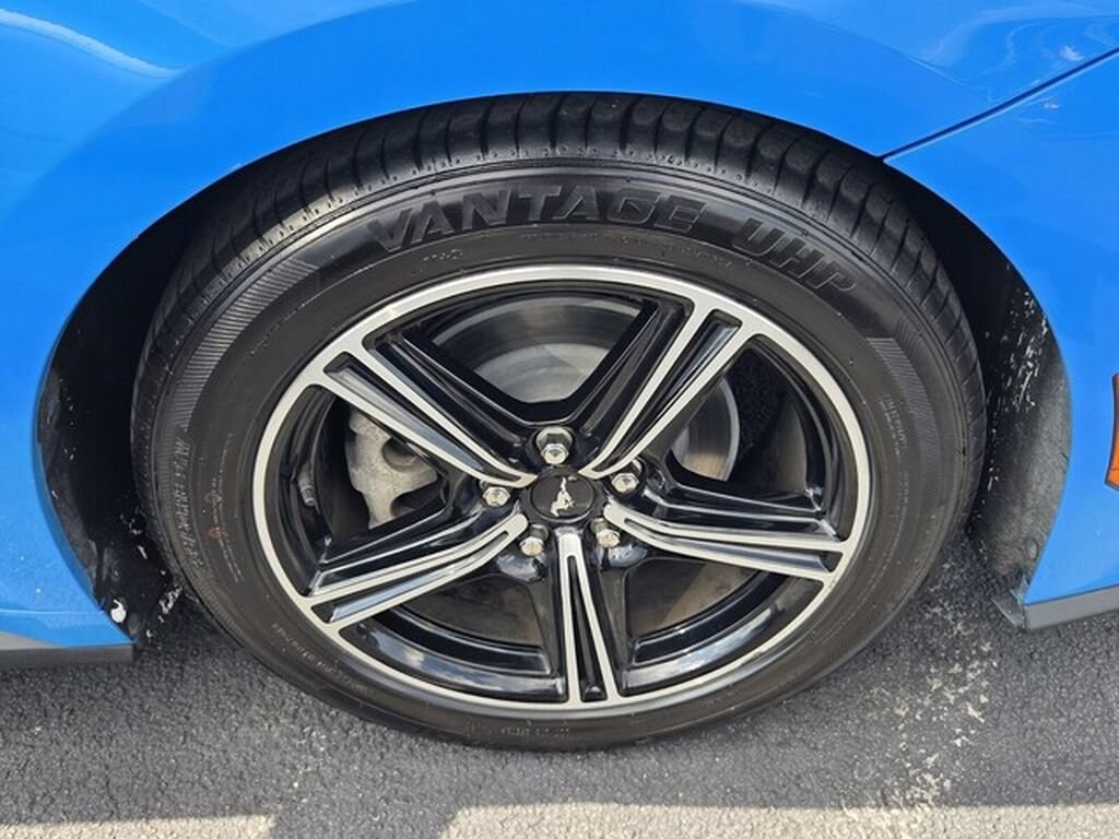 Used 2024 Ford Mustang EcoBoost Premium Convertible