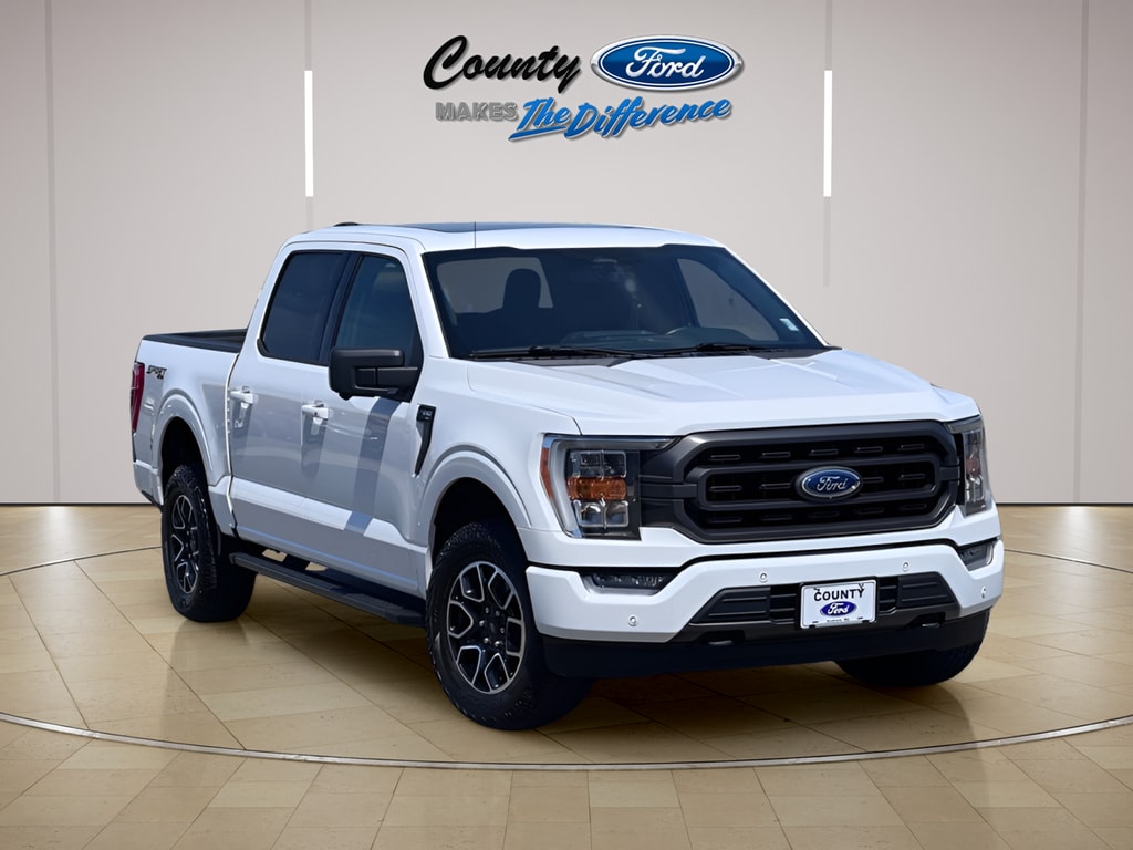 2021 Ford F-150 - Image 1