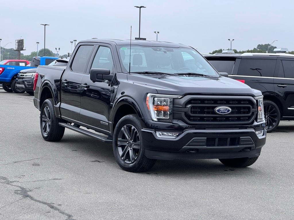 2023 Ford F-150 XLT 4x4 SuperCrew 5-1/2 Box's photo