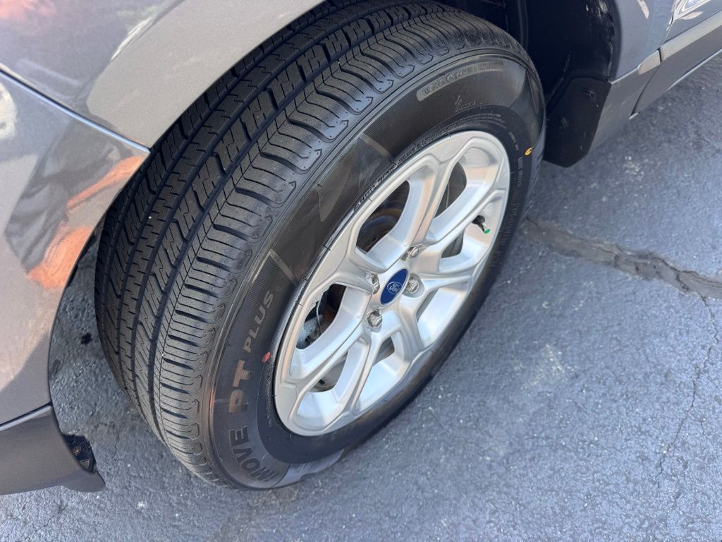 Photo 19