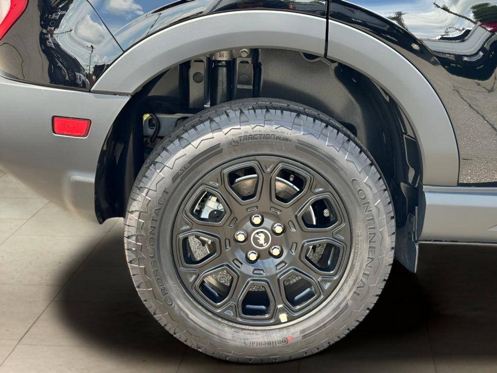 2025 Ford Bronco Sport Badlands - Photo 41
