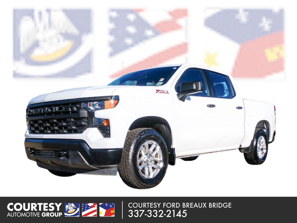 2022 Chevrolet Silverado 1500 Work Truck's photo