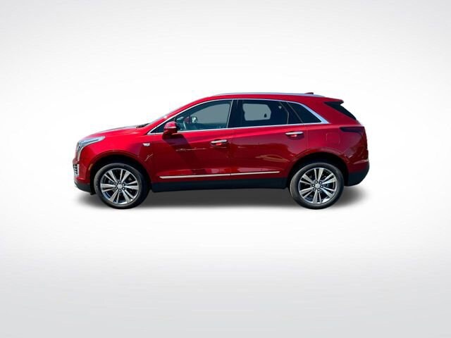 2025 Cadillac XT5 Premium Luxury photo 4