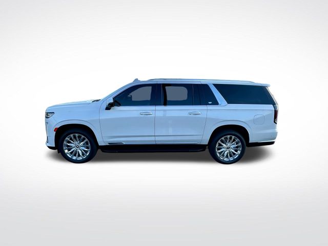 2024 Cadillac Escalade ESV Premium Luxury photo 4