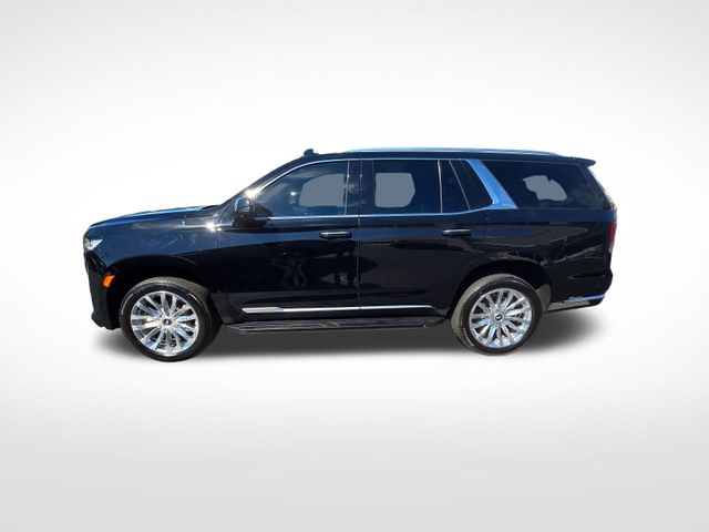2023 Cadillac Escalade Premium Luxury photo 3