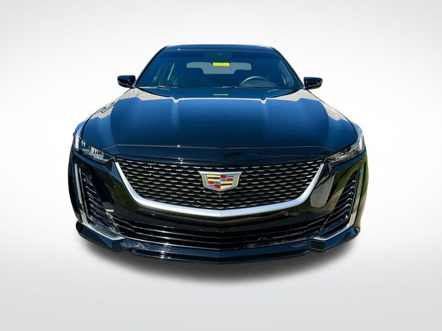 2024 Cadillac CT5 Premium Luxury photo 2